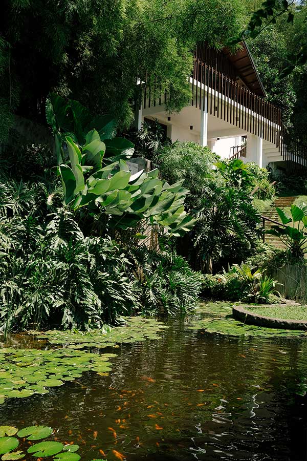 The Pavilion at Narra Hill